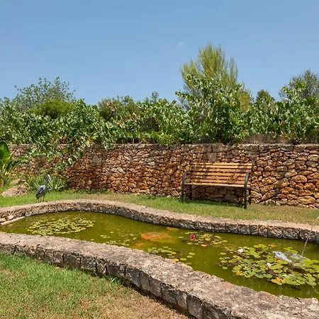 Villa Curreu Iii - Santa Gertrudis *